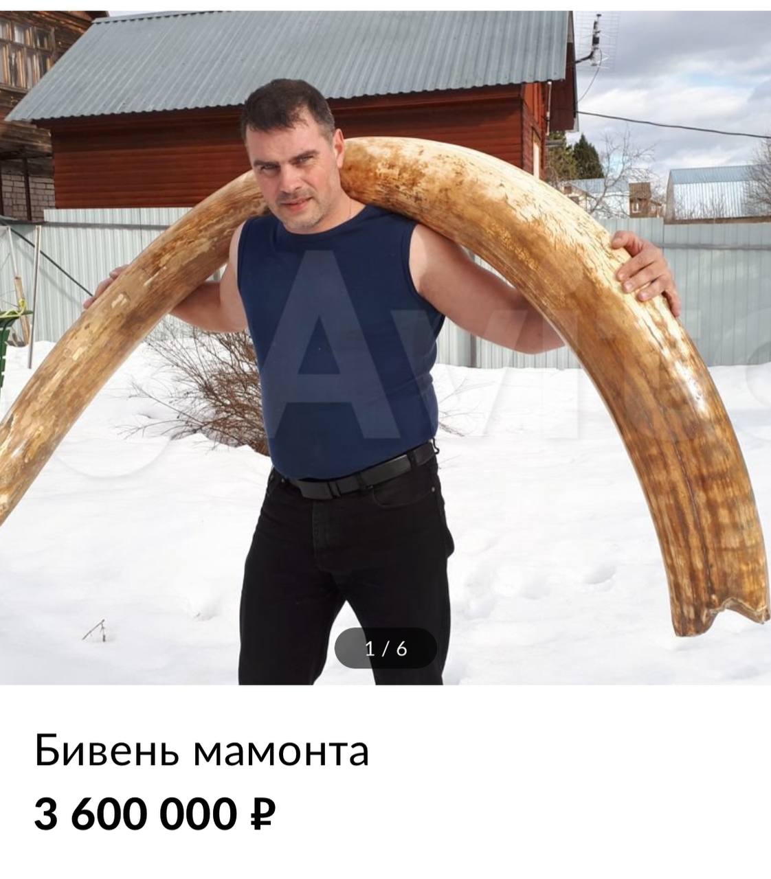 La Russie, ce n'est pas seulement les ours, la vodka et la balalaïka