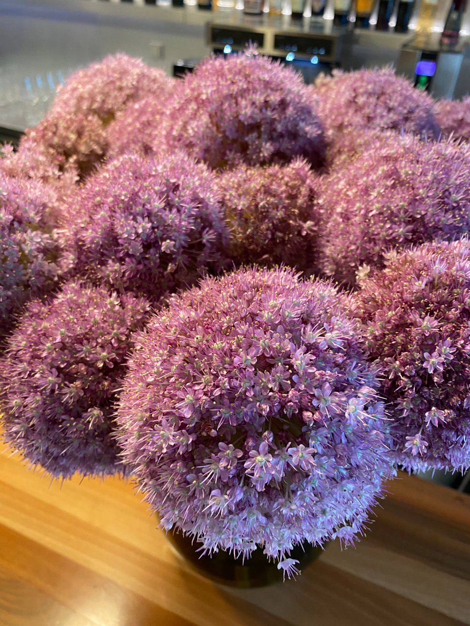 Round lilac allium flower heads on a wooden counter, with a bar and glasses in the background.