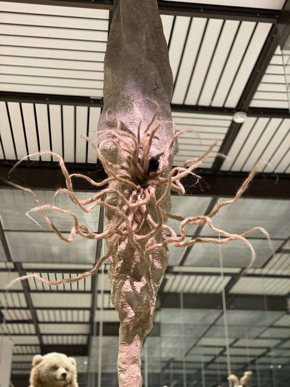 Une sculpture allongée gris-rose pend la tête en bas, de longues mèches fibreuses rayonnant depuis son centre. Plafond vitré à lattes au-dessus, ours empaillé en bas.