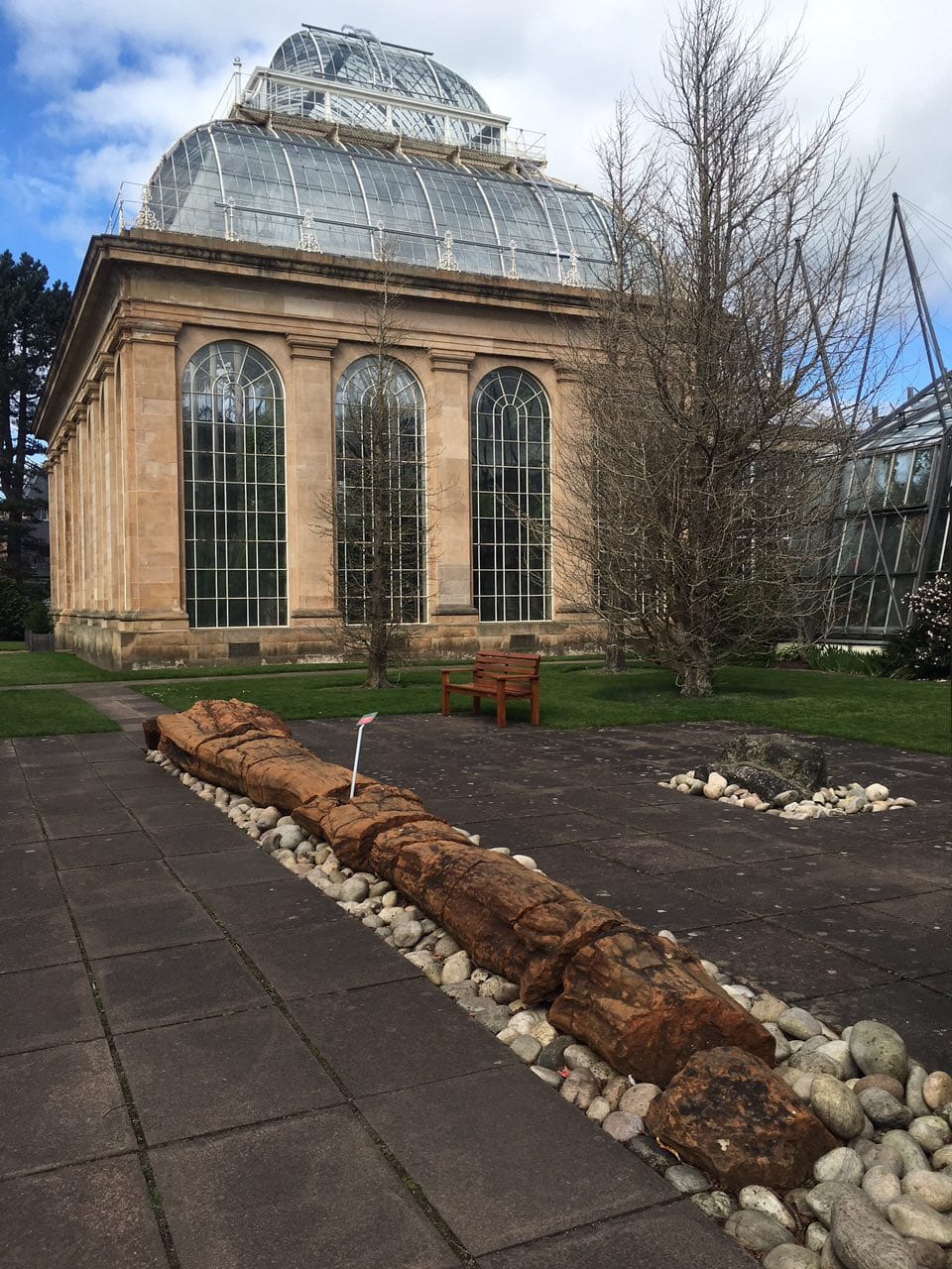 The fossilised trunk of an ancient giant clubmoss, Lepidodendron, at the Royal Botanic Garden Edinburgh; these trees reached 35 metres in height and a metre in girth
