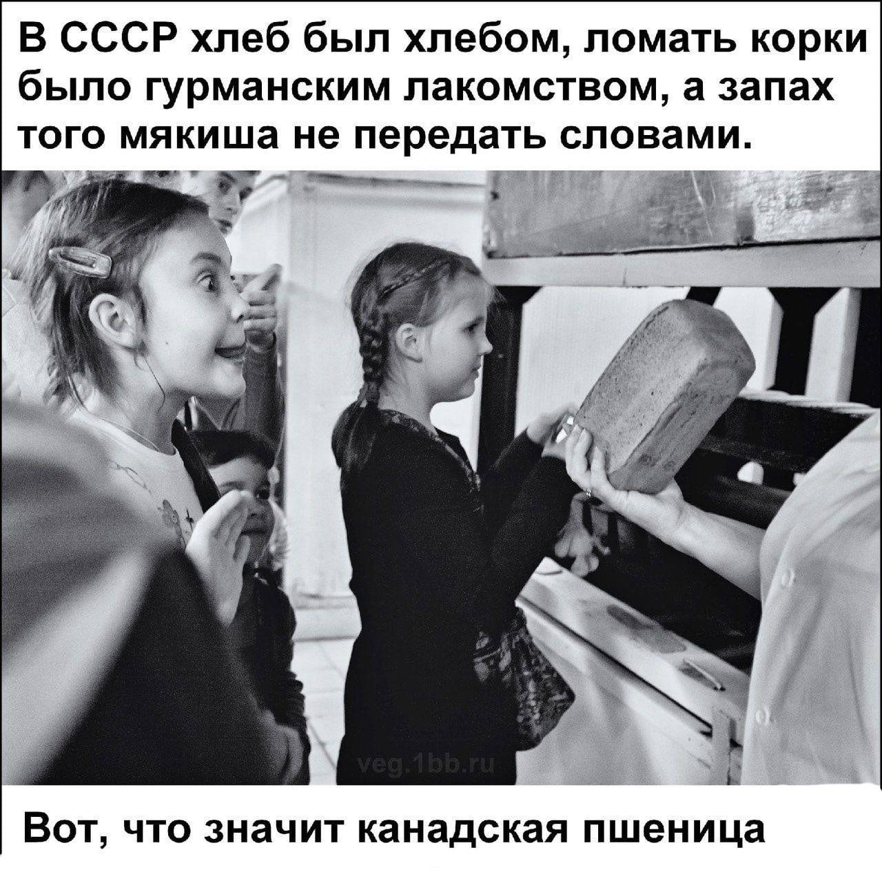 If we are to speak seriously of the meme "in the USSR bread was bread, the crusts were tasty and the crumb heavenly, that's what Canadian wheat does for you", then the Soviet Union began buying wheat from Western countries as early as 1963, a year that wa