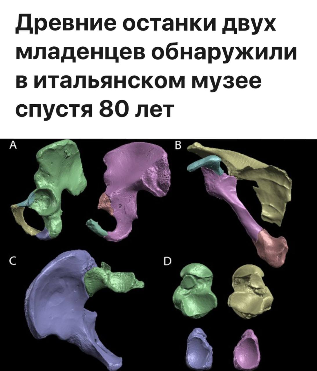 nplus1 жазуынша, итальяндық археологтар Флоренция университетінің Табиғи тарих мұражайынан бұрын есепке алынбаған алты картон қорап пен ағаш жәшікті тапты, олардың ішінде 150-ден астам сүйек сынығы, соның ішінде екі нәрестенің сүйек қалдықтары бар