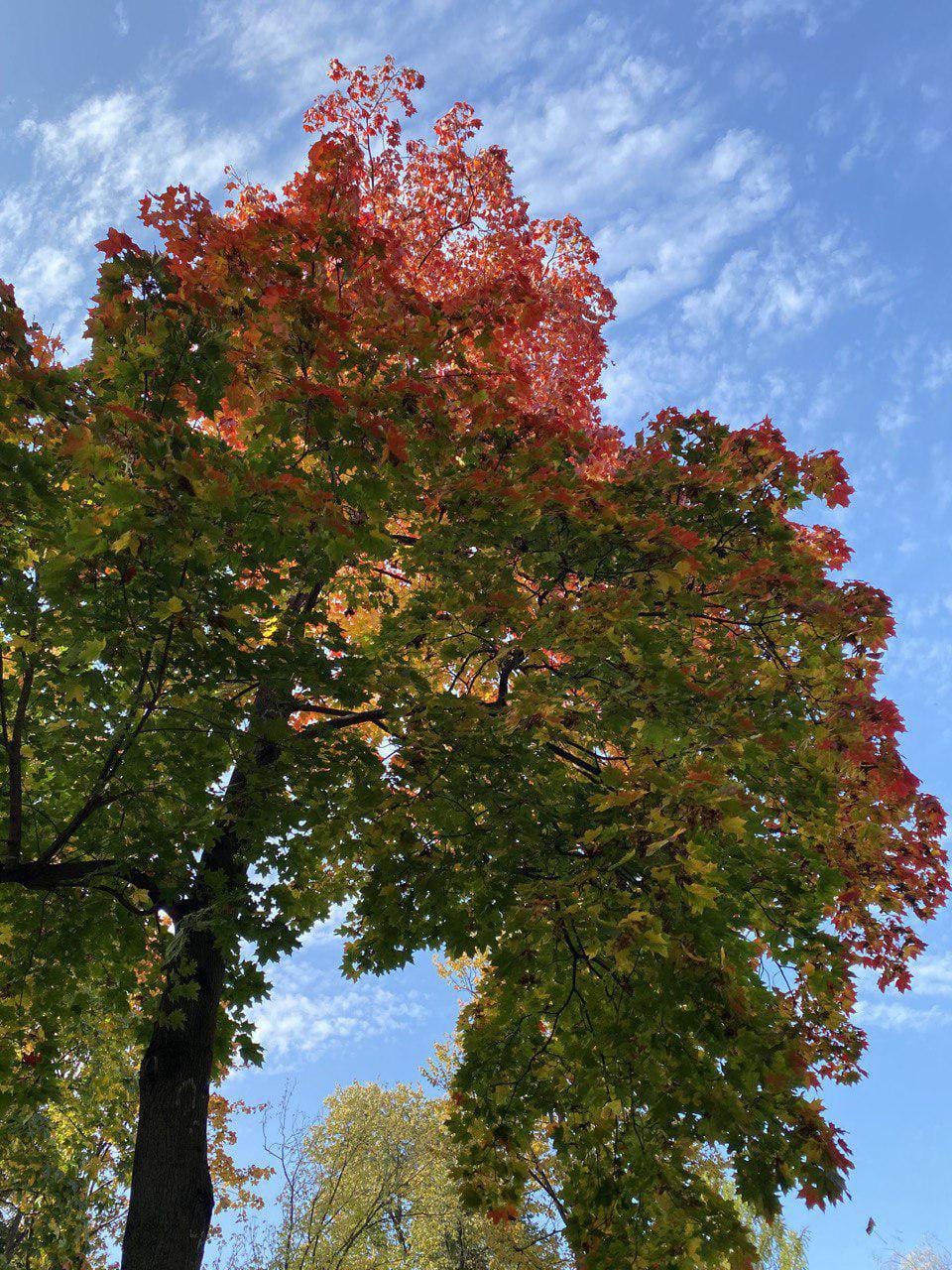 Et soudain l'été s'abîma dans l'automne