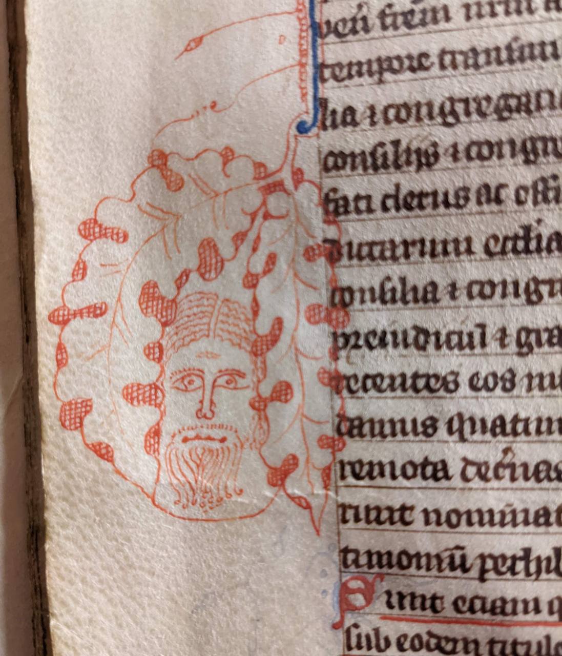 Forgive me if I am mistaken, but... is that the Green Knight from David Lowery's 2021 fantasy, doodled in the margins of the Glastonbury Cartulary?