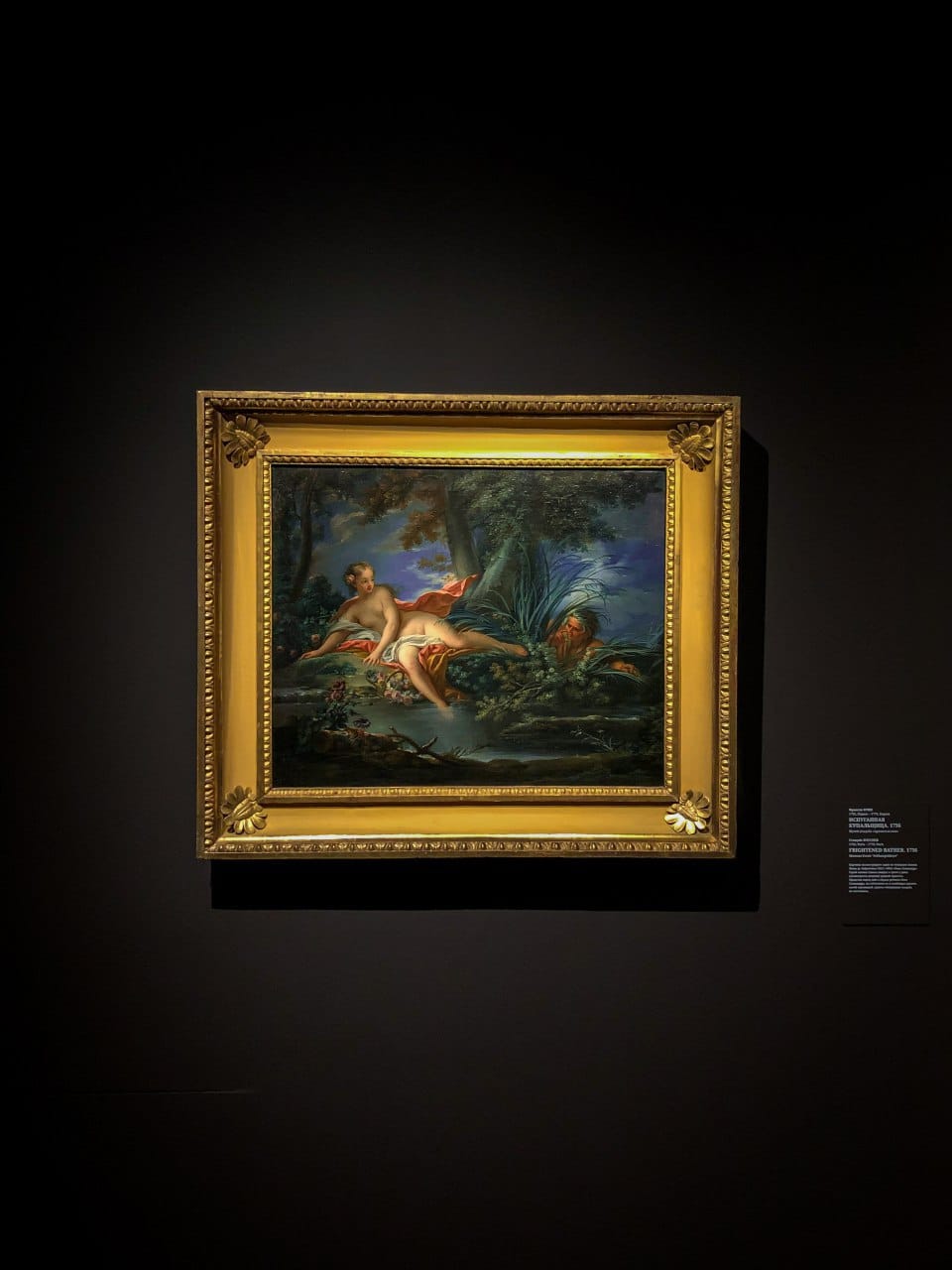 Tableau dans un cadre doré sur un mur sombre : une femme nue allongée près d'un étang, épiée par un homme barbu caché dans les roseaux. Cartel à droite.