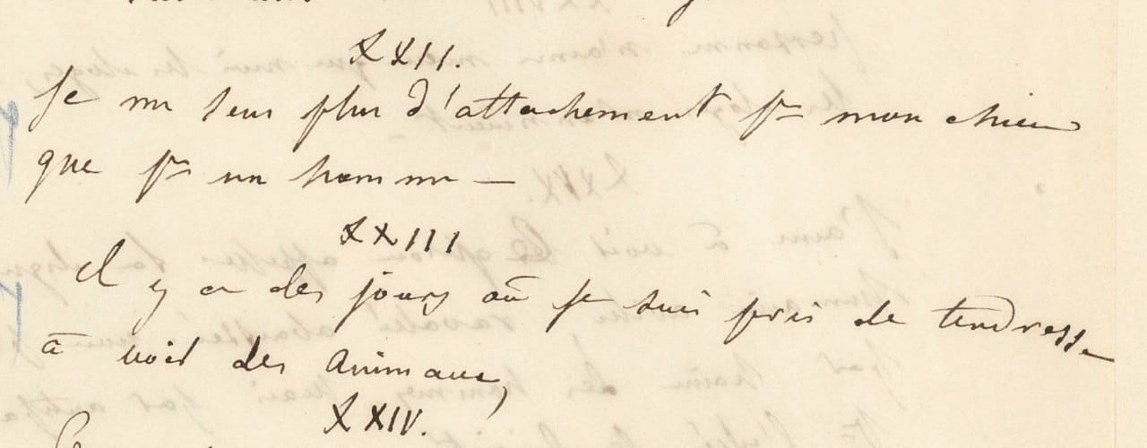 "I feel more attached to my dog than to any human being", from the notes of the twenty-year-old Gustave Flaubert, who turns two hundred today
