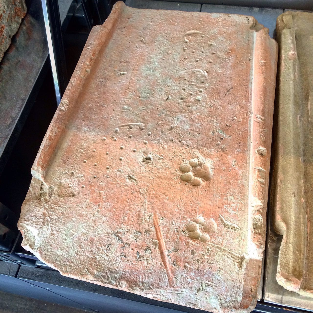 Traces of a Child in Sandals and a Puppy on a Tile of the 1st Century AD