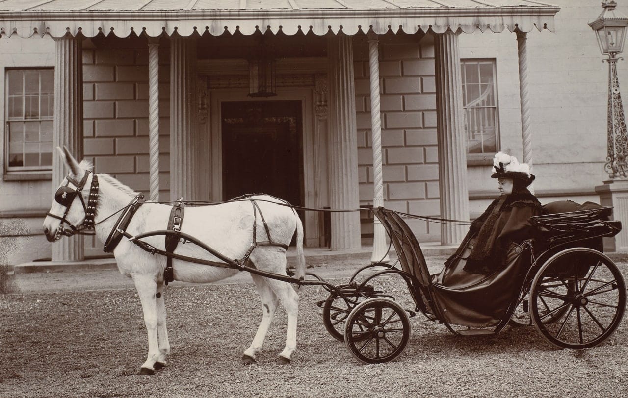 Old photograph of an elderly woman in dark clothes and a hat seated in a small carriage drawn by a white donkey in front of a columned building.