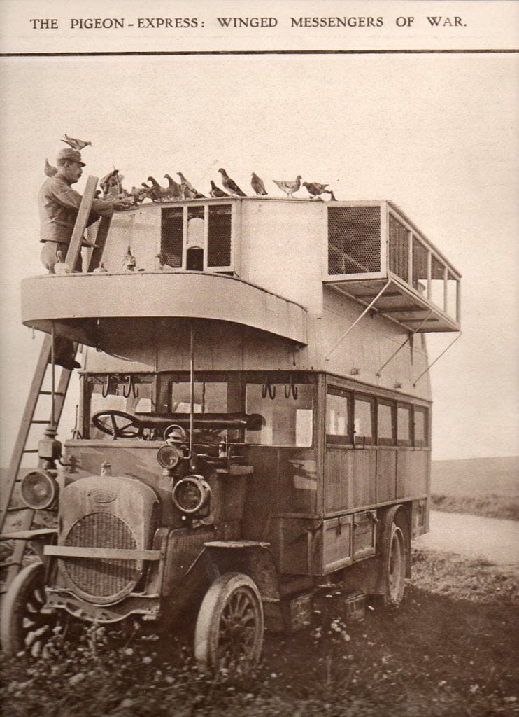 L'Express des pigeons