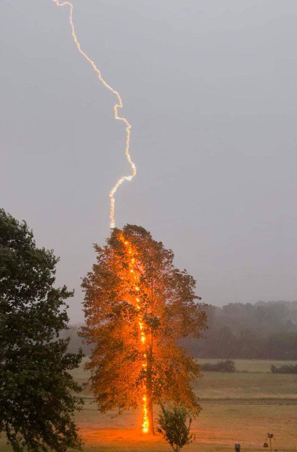 A zigzag bolt of lightning strikes a tree on a lawn, its trunk glowing orange under a grey sky.