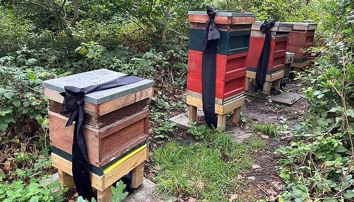 Кларенс-хаус пен Букингем сарайындағы корольдік аралар өздерінің бұрынғы қожайыны королева ІІ Елизаветаның қайтыс болғаны және жаңа қожайыны король ІІІ Карл екені туралы хабардар етілді