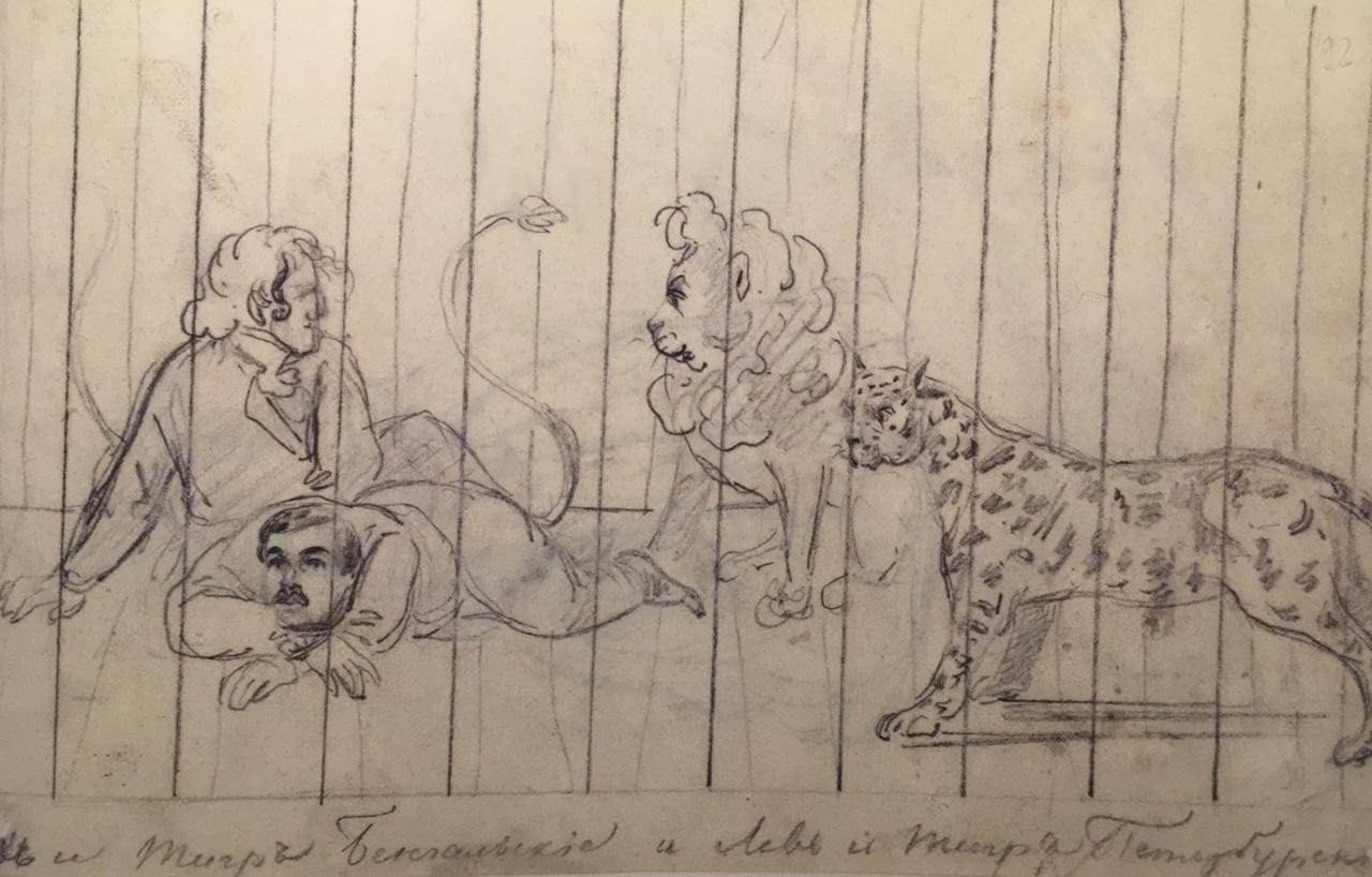 The Bengal Lion and Tiger and the Petersburg Lion and Tiger
