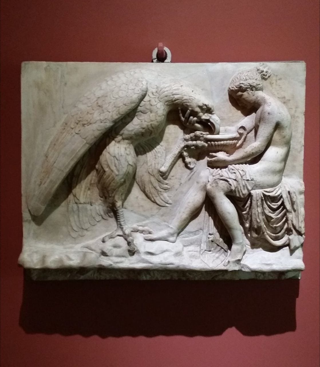 Zeus stole the beautiful Ganymede by turning himself into an eagle