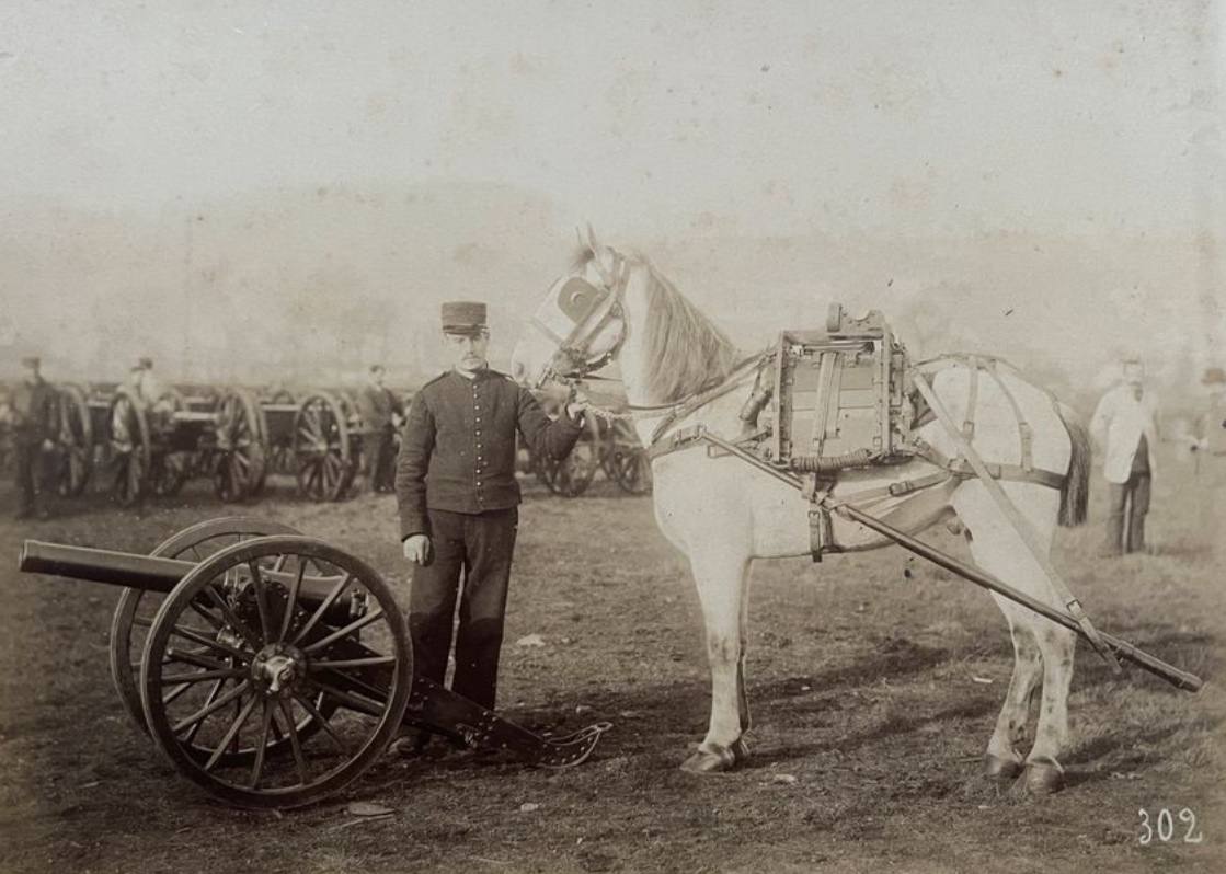Француз армиясындағы аттар, 1890-жылдар: әртүрлі зеңбіректерді тартатын жүк аттары ғана емес, сонымен қатар әбзелі атыс қаруымен жабдықталған аттар да