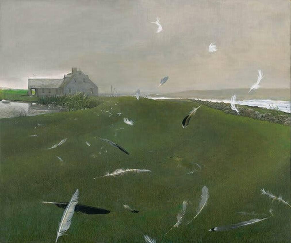 «Ауада, Бреннер аралы», 1996 және «Арал раушандары», 1978