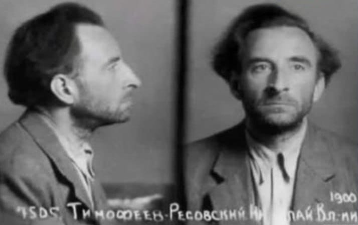 Николай Тимофеев-Ресовский в Германии, гибель сына и приговор после войны