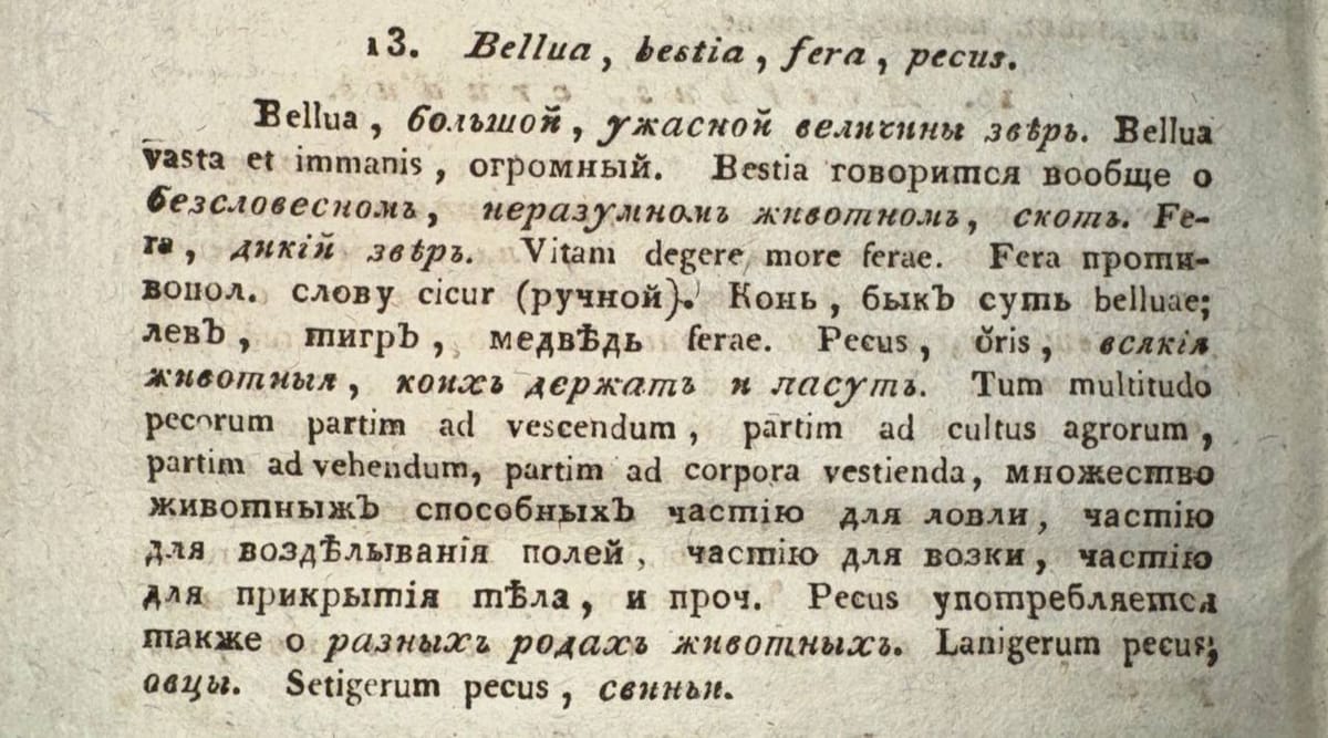 Если bellua - некий очень крупный зверь, то bestia - любое бессловесное неразумное животное, fera - дикий зверь, а pecus, ǒris - любые животные, содержащиеся людьми