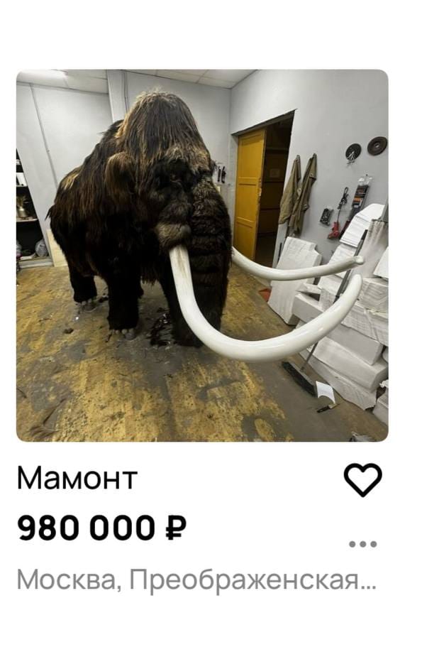 Мамонт по сходной цене