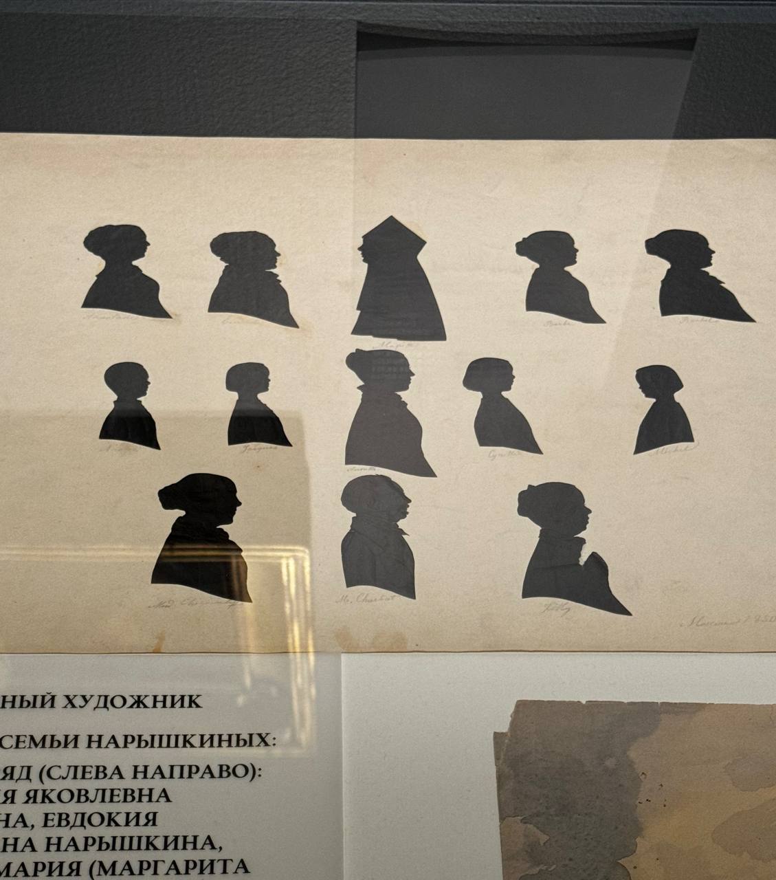 Силуэты семьи Нырышкиных на выставке о декабристах