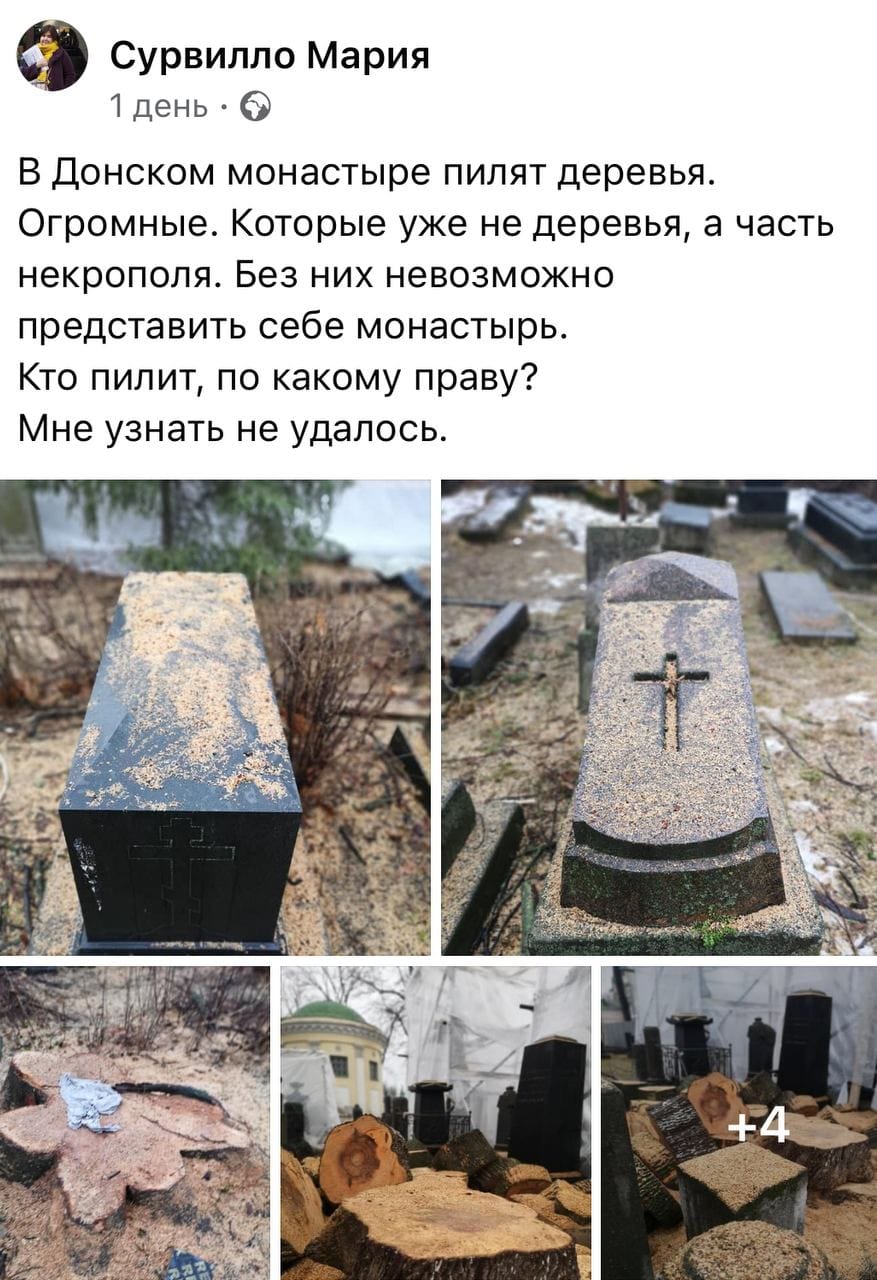 Мария Сурвилло обратила внимание на вырубку деревьев в Донском монастыре в Москве