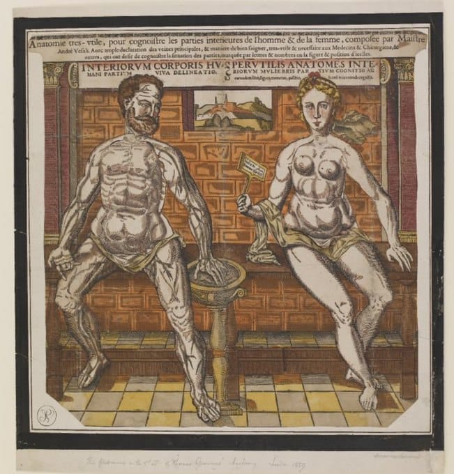 Анатомическая брошюра, 1559 год
