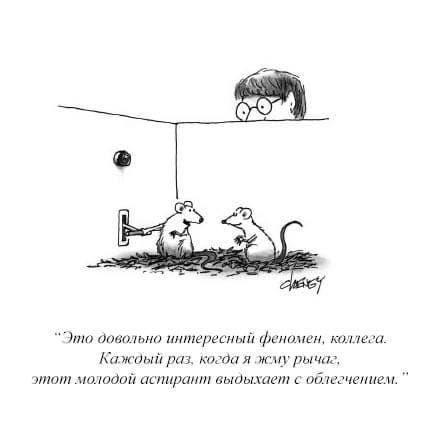 Перевод карикатуры в журнале Нью-Йоркер из независимой фб-группы