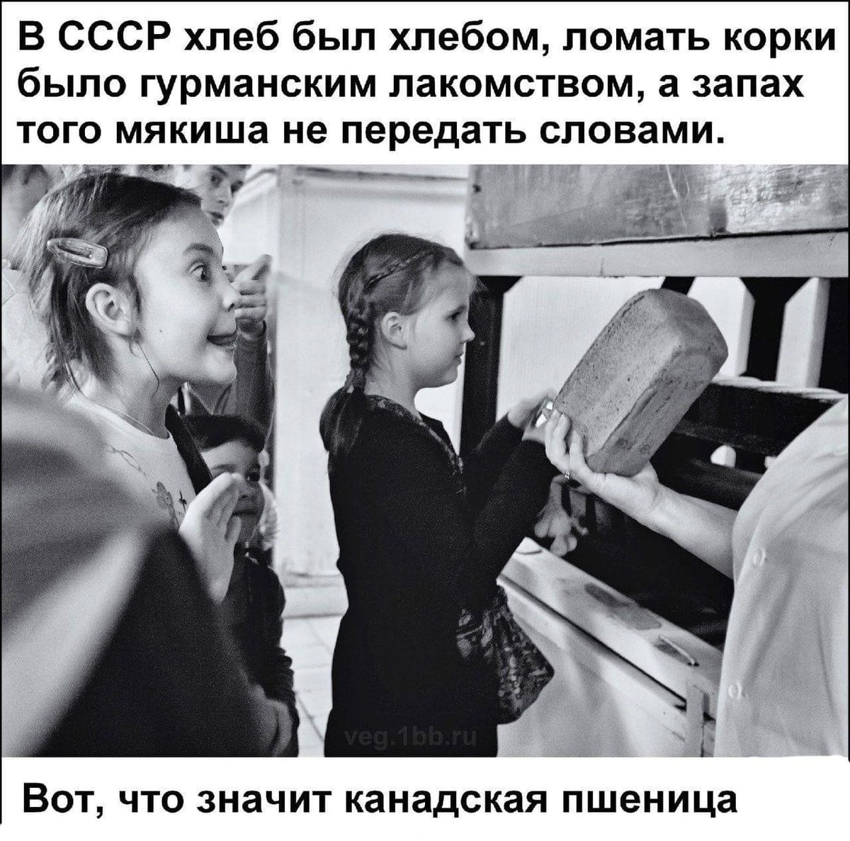 Если всерьез говорить по поводу мема «в СССР хлеб был хлебом, корки были вкусные, а мякиш неземной, вот что значит канадская пшеница», то закупки пшеницы у западных стран Советский союз начал еще в 1963 году, этот год назвали годом…