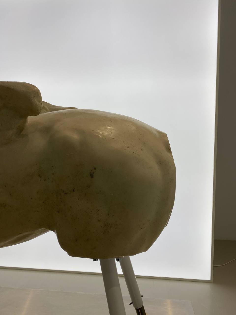 Крупный фрагмент светлой скульптуры, похожий на торс или плечо, закреплён на белых тонких стойках. Позади него большая светящаяся панель в музейном зале.