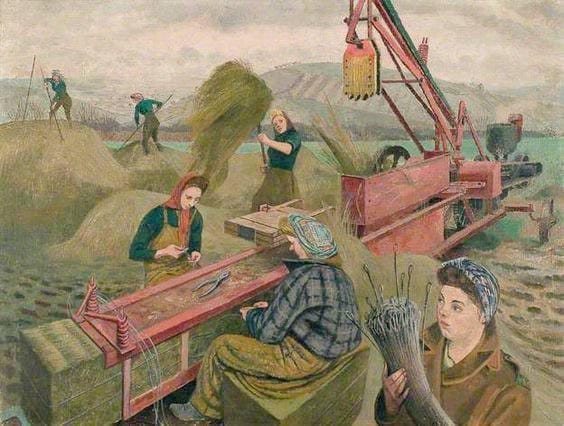 Картина Эвелин Данбар «Уборочная страда» 1943 года и Женская земледельческая армия