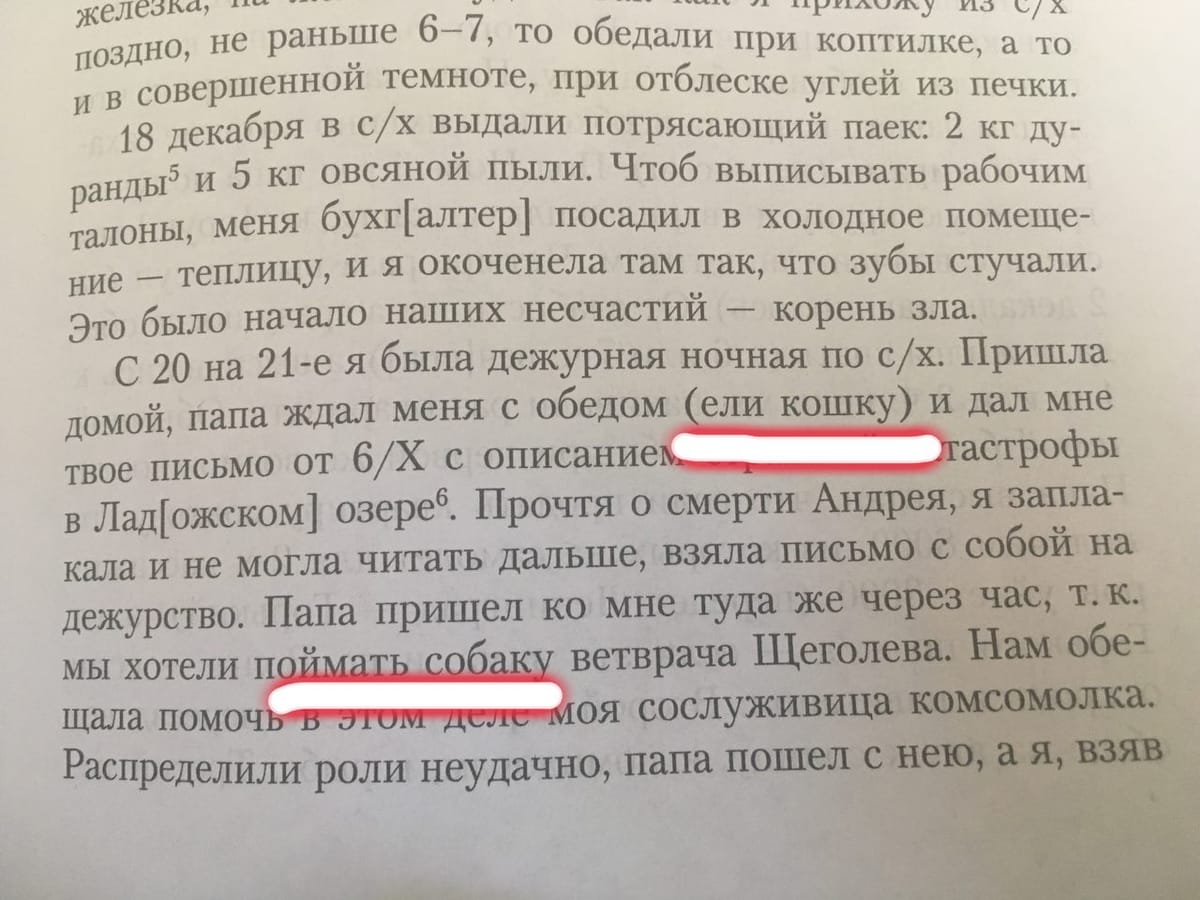 Собаку в итоге не поймали