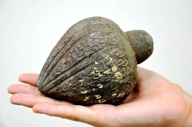 Подробнее http://www.livescience.com/55852-worker-discovers-bronze-age-treasures-in-israel.html