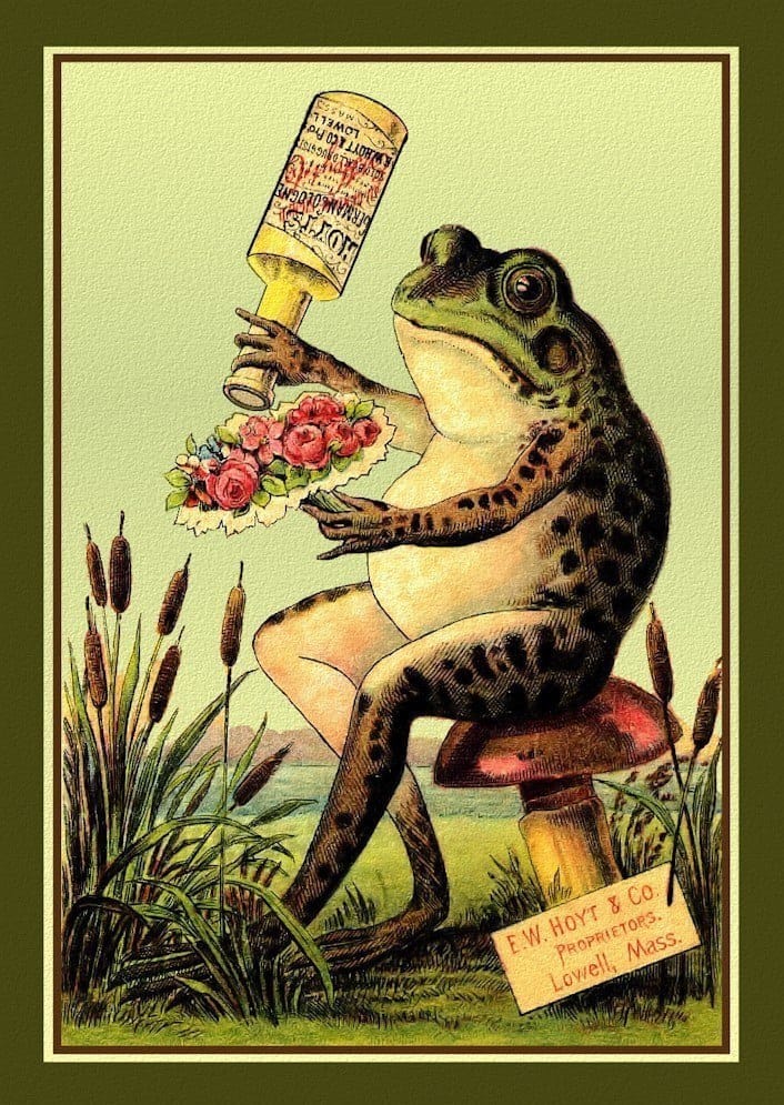 It is Wednesday my dudes