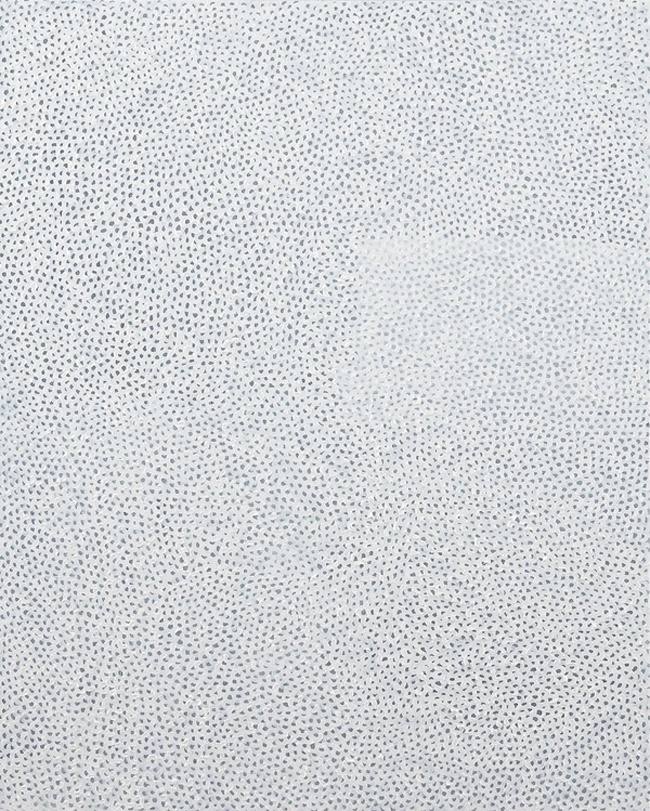 Яёи Кусама «Белый № 28», 1960 год