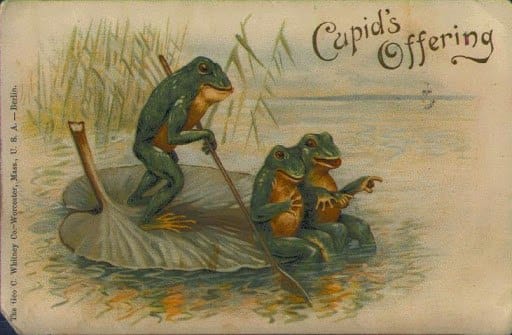 It is Wednesday my dudes 🐸