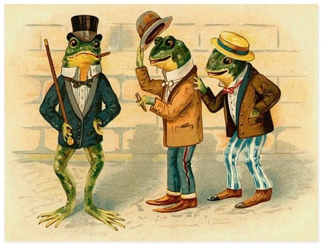 It is Wednesday my dudes 🐸