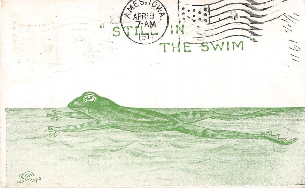 It is Wednesday my dudes 🐸