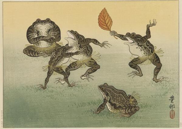 It is Wednesday, my dudes 🐸