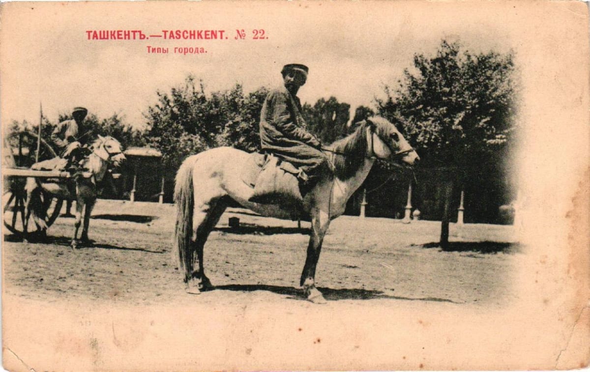 Ташкент. - М.: Шерер, Набгольц и Ко, 1902