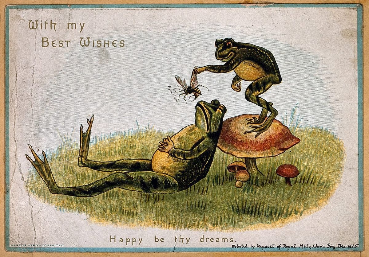 It is Wednesday, my dudes 🐸