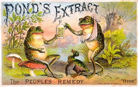 It is Wednesday, my dudes 🐸