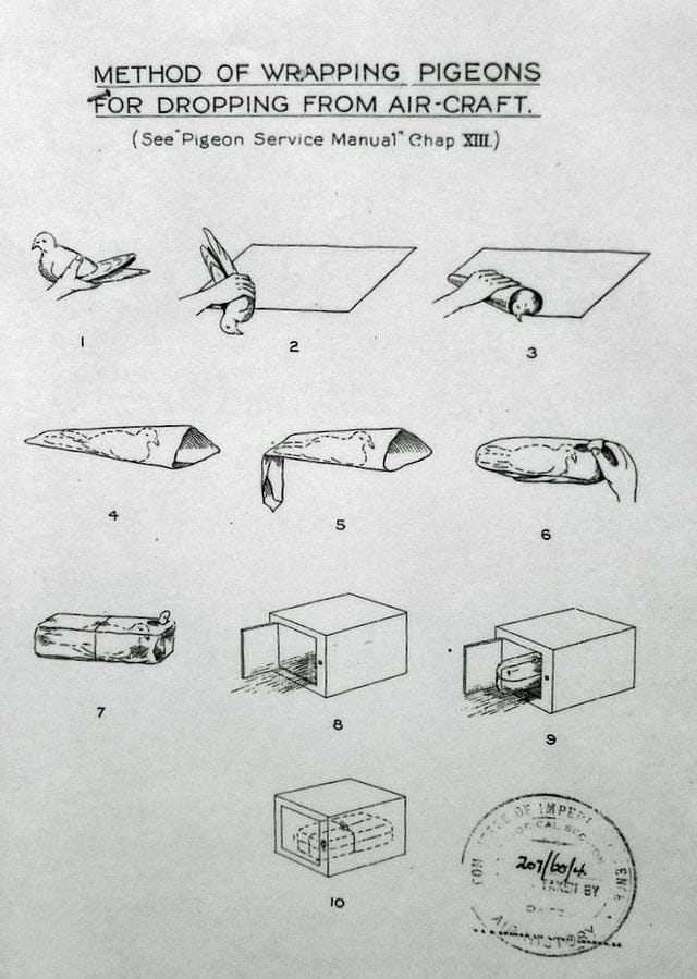 Страшная схема, конечно