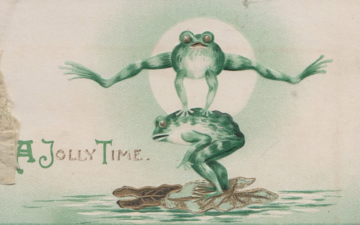 It is Wednesday, my dudes 🐸