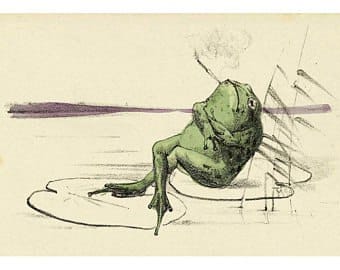 It is Wednesday, my dudes 🐸