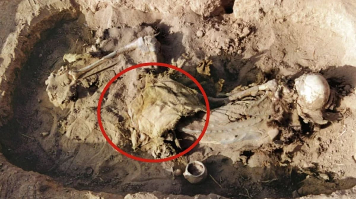 Седло - свидетельство наездничества в Китае