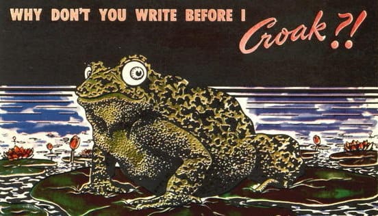 It is the first Wednesday in 2021, my dudes 🐸