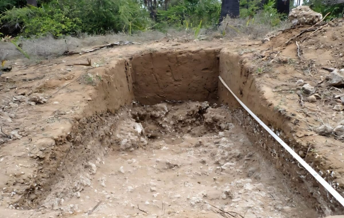 На острове Веланаи на севере Шри-Ланки ученые получили первое надёжное свидетельство доисторического заселения северной части острова - с датой около 1510 г. до н.э