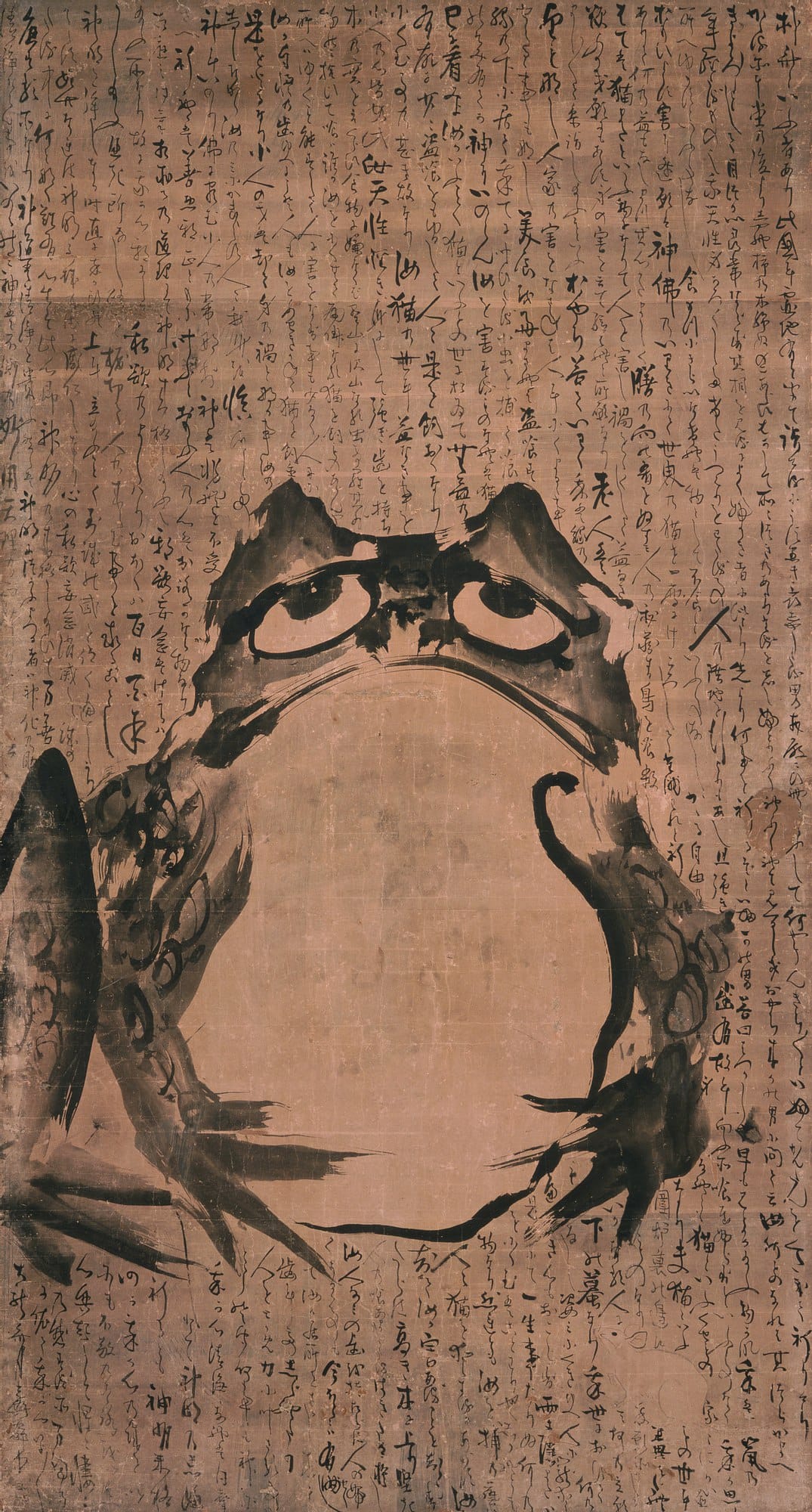 It is Wednesday, my dudes 🐸