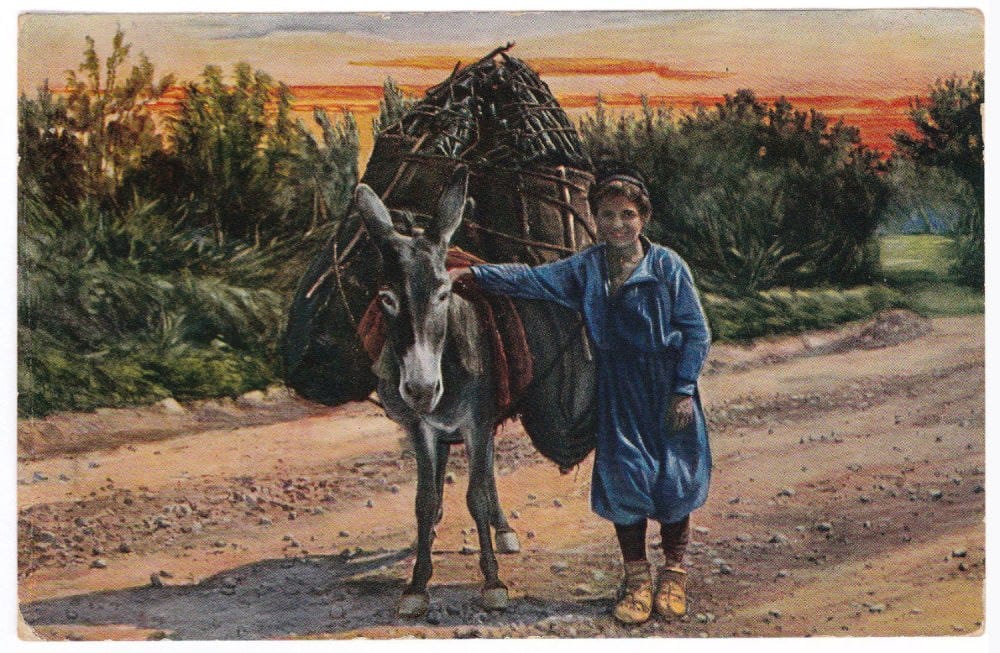 Открытое письмо