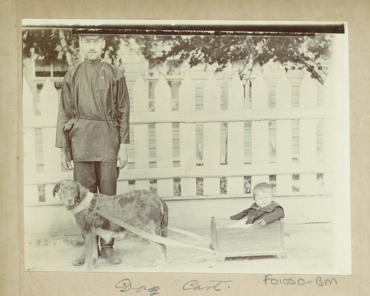 Собачья упряжка, Российская империя, 1903-1904