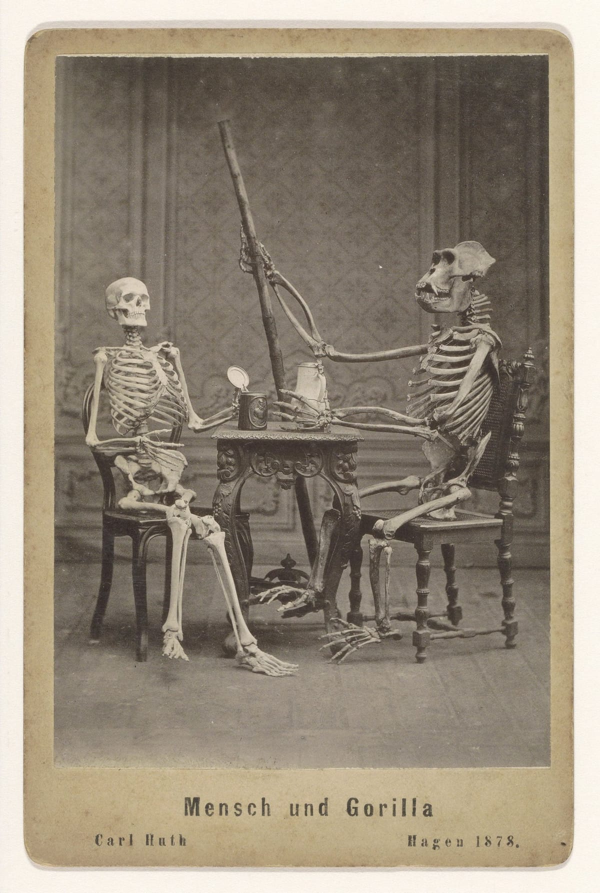 Скелет человека и гориллы за столом, 1878